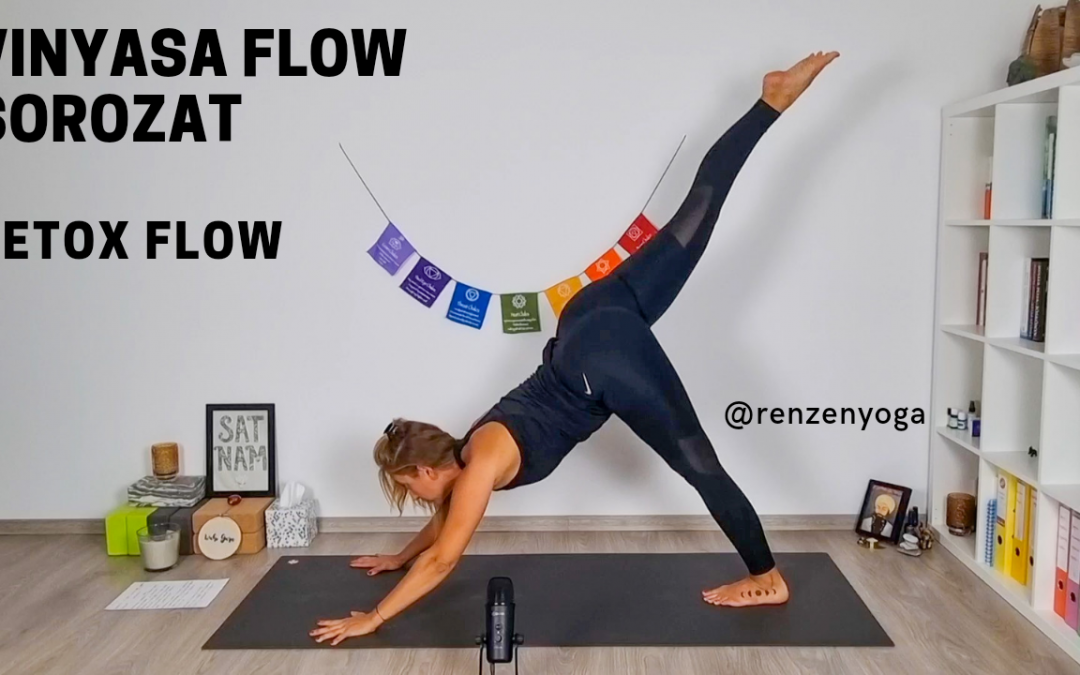 Vinyasa Flow – Detox Flow